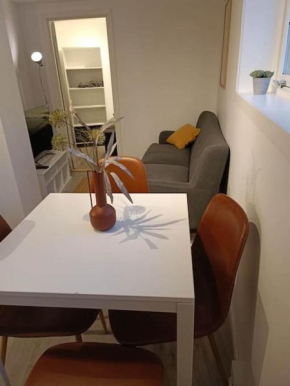 Cozy apartment close to downtown